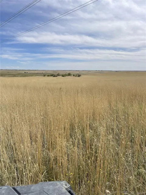 S County Road 137