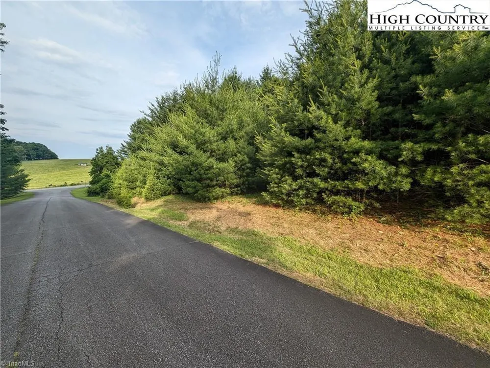 Lot 13 Briarwood Lane Sparta, NC 28675