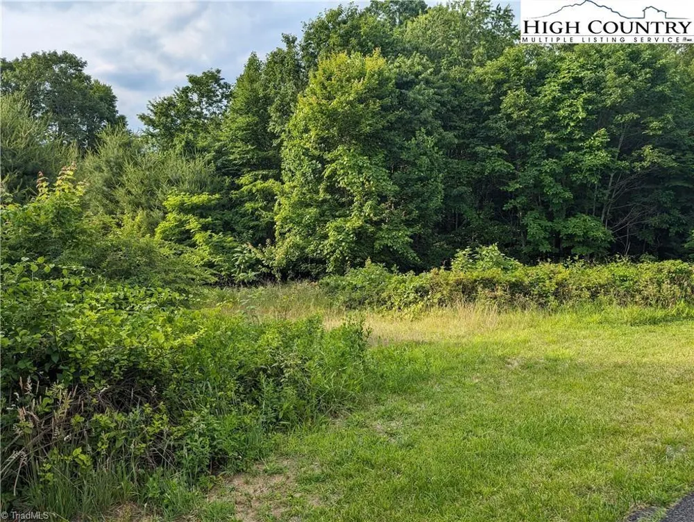 Lot 13 Briarwood Lane Sparta, NC 28675