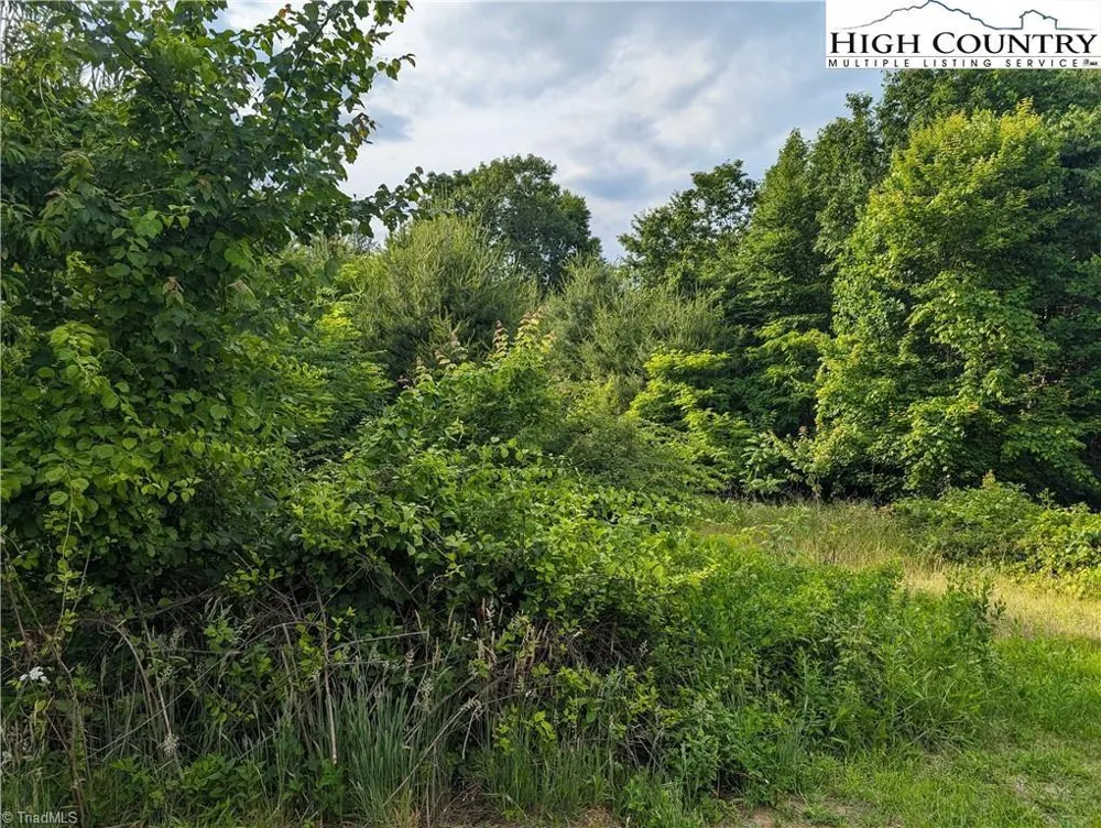 Lot 13 Briarwood Lane Sparta, NC 28675