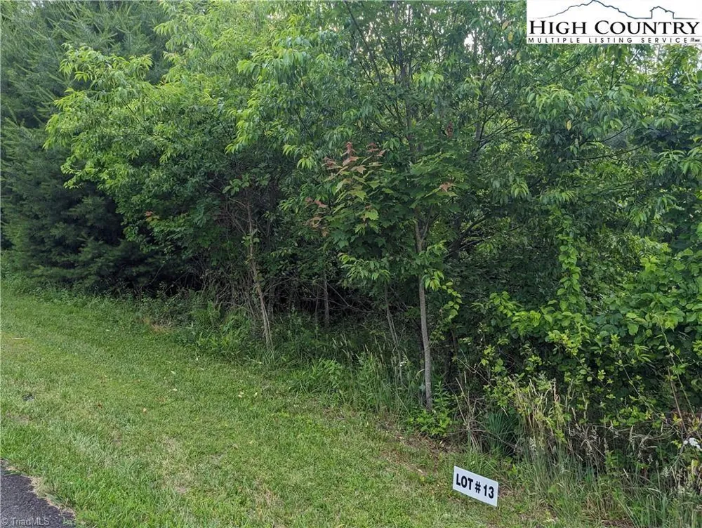 Lot 13 Briarwood Lane Sparta, NC 28675