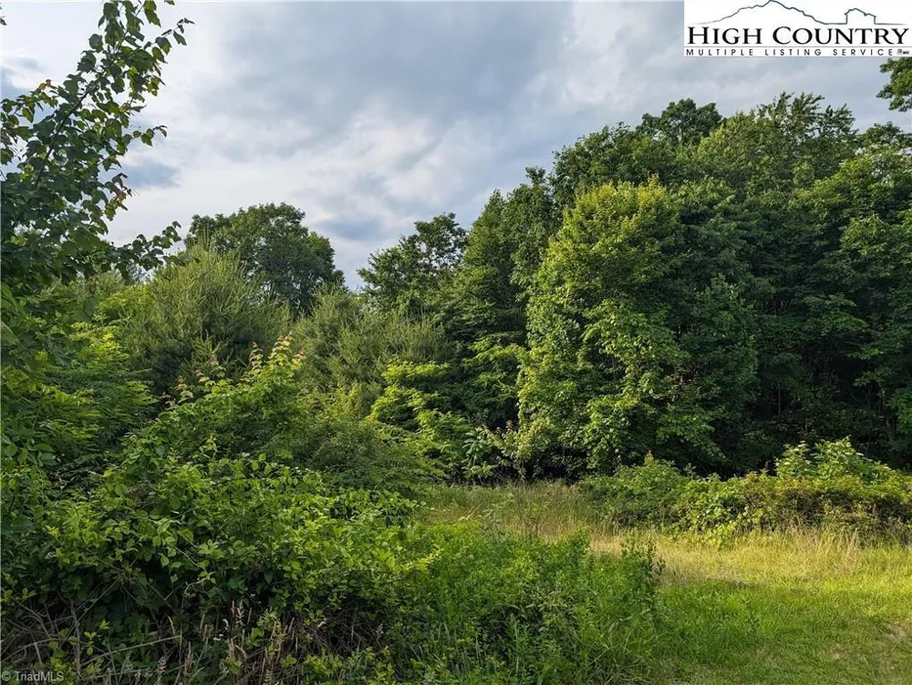 Lot 13 Briarwood Lane Sparta, NC 28675
