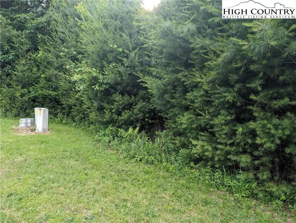 Lot 13 Briarwood Lane Sparta, NC 28675