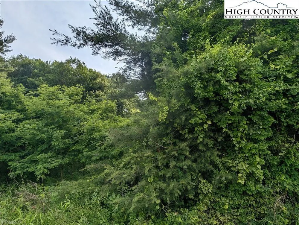 Lot 13 Briarwood Lane Sparta, NC 28675