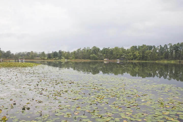 10060 M-216 Marcellus, MI 49067