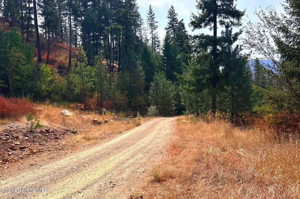 Lot 1A Moose Mtn Priest River, ID 83856