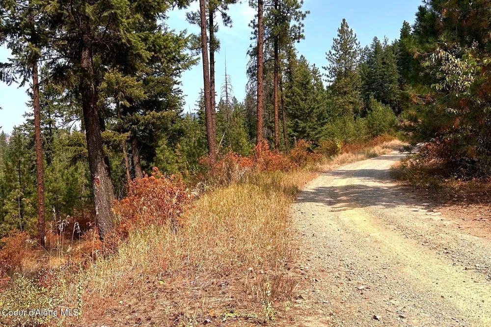 Lot 1A Moose Mtn Priest River, ID 83856