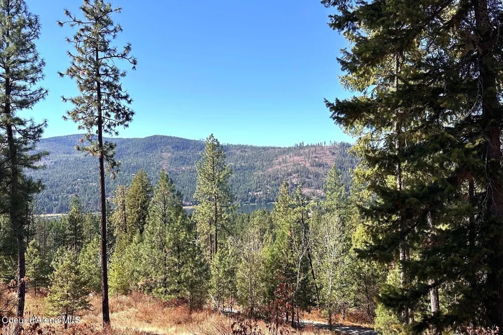 Lot 1A Moose Mtn Priest River, ID 83856