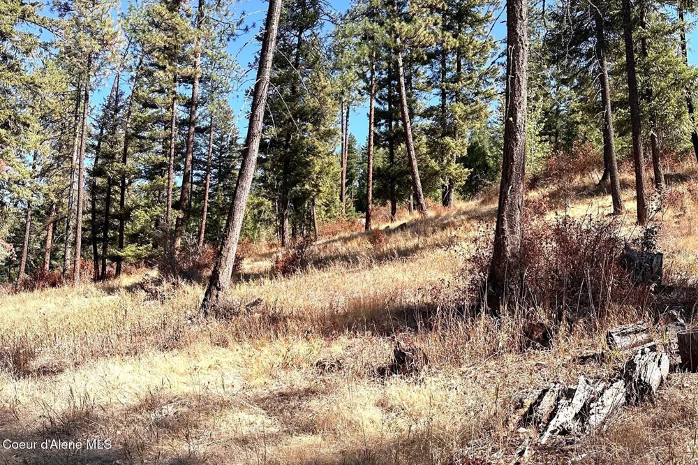 Lot 1A Moose Mtn Priest River, ID 83856