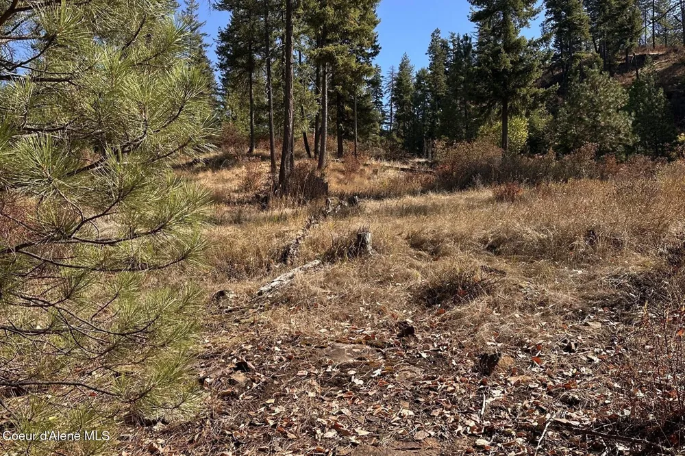 Lot 1A Moose Mtn Priest River, ID 83856