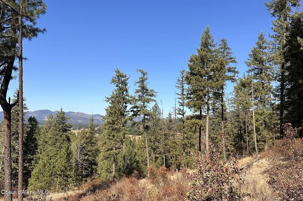 Lot 1A Moose Mtn Priest River, ID 83856