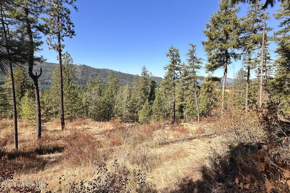 Lot 1A Moose Mtn Priest River, ID 83856