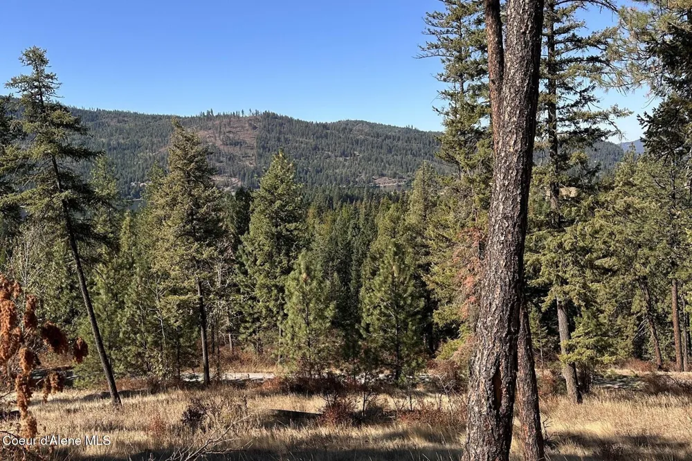 Lot 1A Moose Mtn Priest River, ID 83856