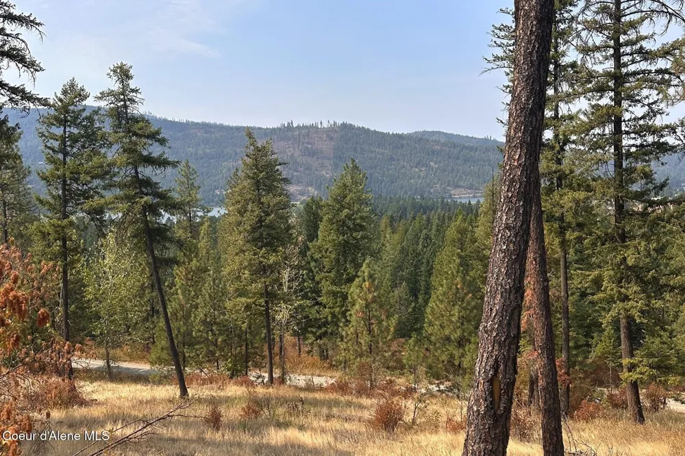 Lot 1A Moose Mtn Priest River, ID 83856