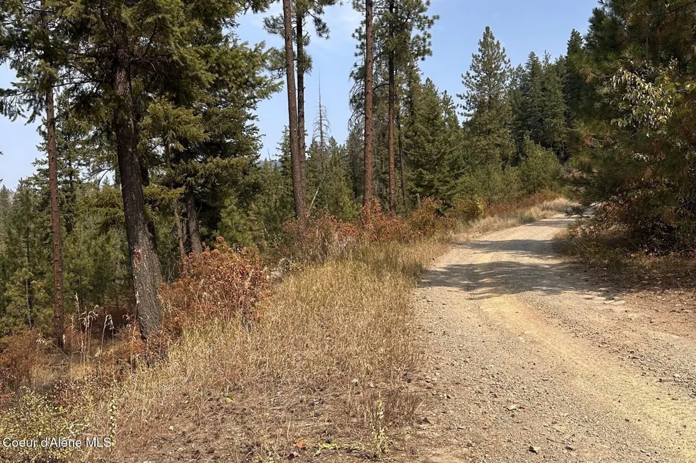 Lot 1A Moose Mtn Priest River, ID 83856