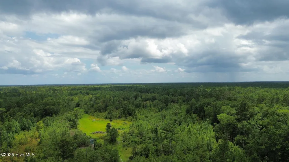 250 Long Bluff Road Currie, NC 28435