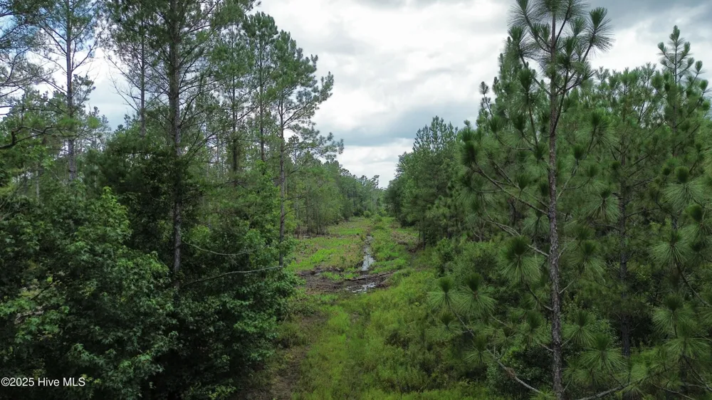 250 Long Bluff Road Currie, NC 28435