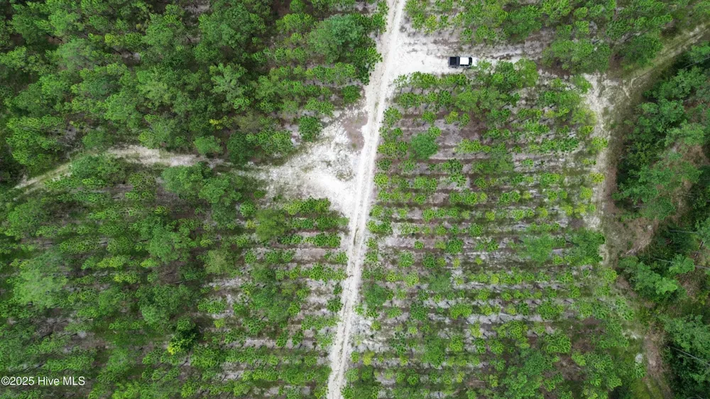 250 Long Bluff Road Currie, NC 28435