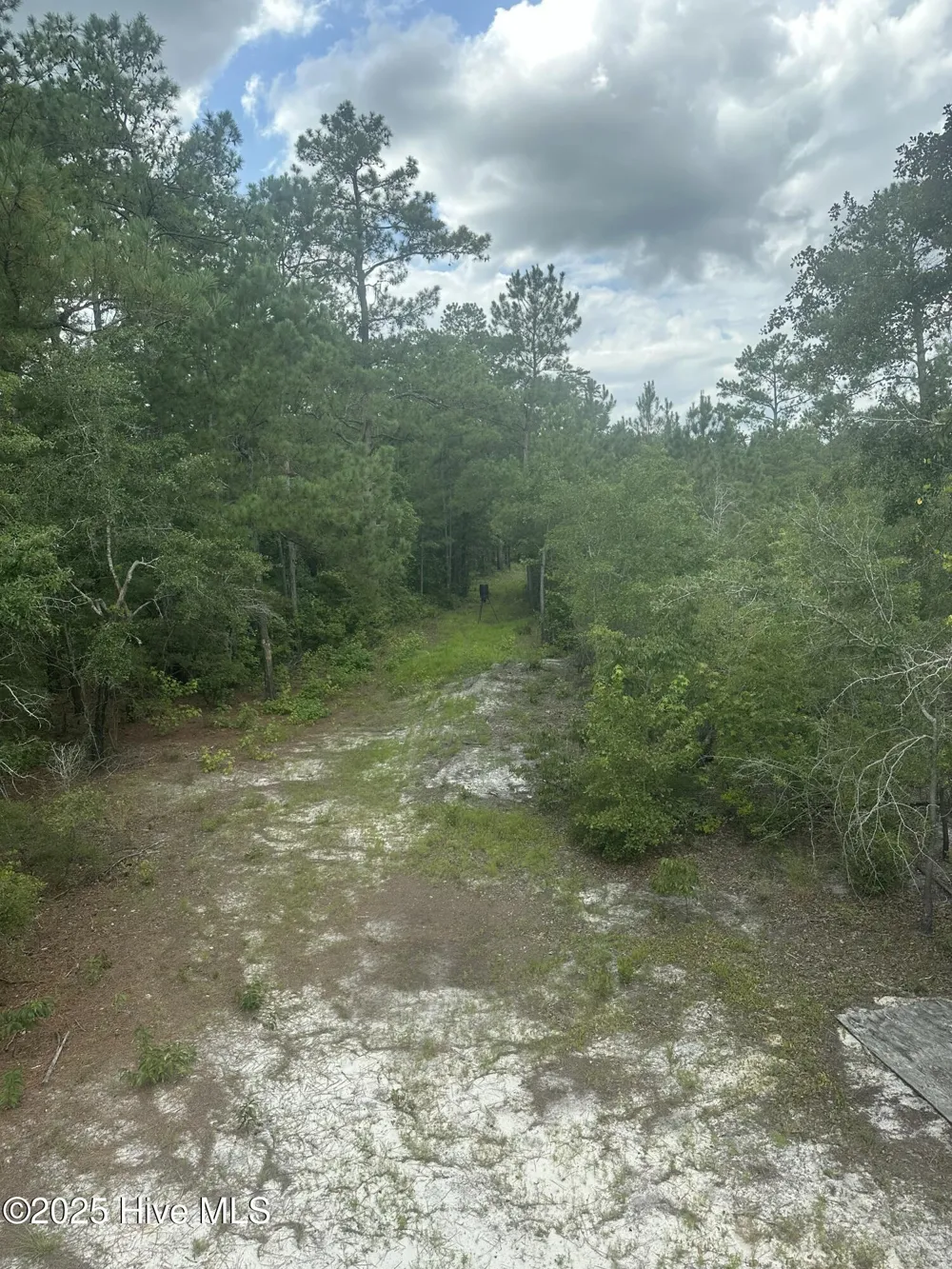 250 Long Bluff Road Currie, NC 28435