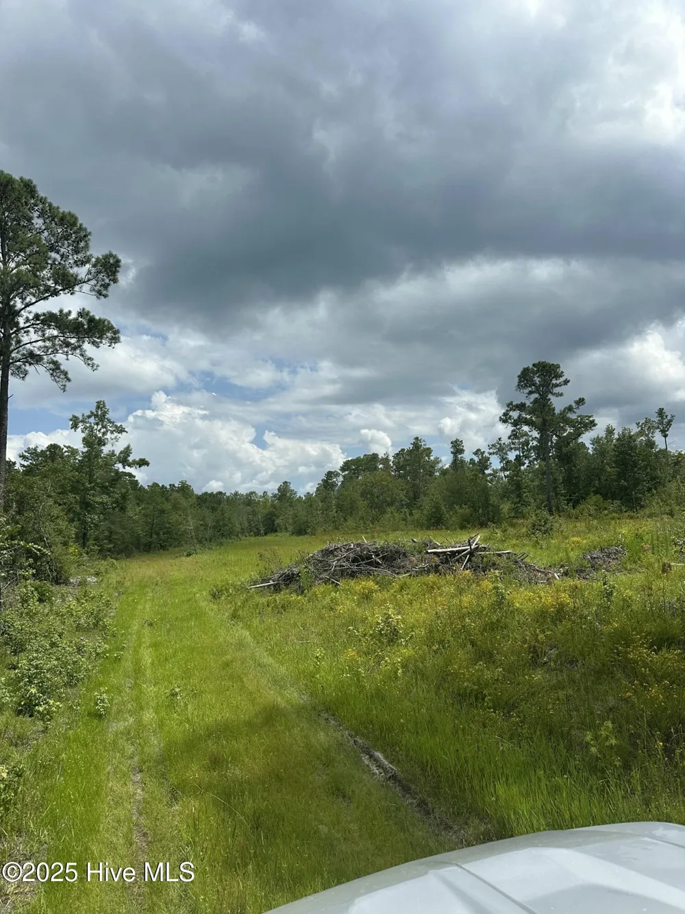 250 Long Bluff Road Currie, NC 28435