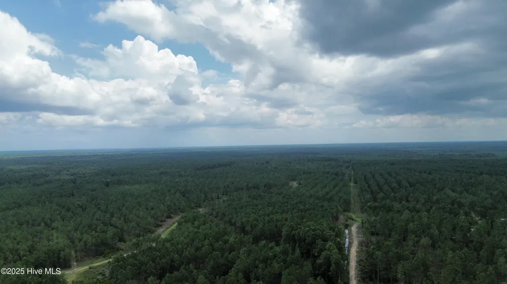250 Long Bluff Road Currie, NC 28435