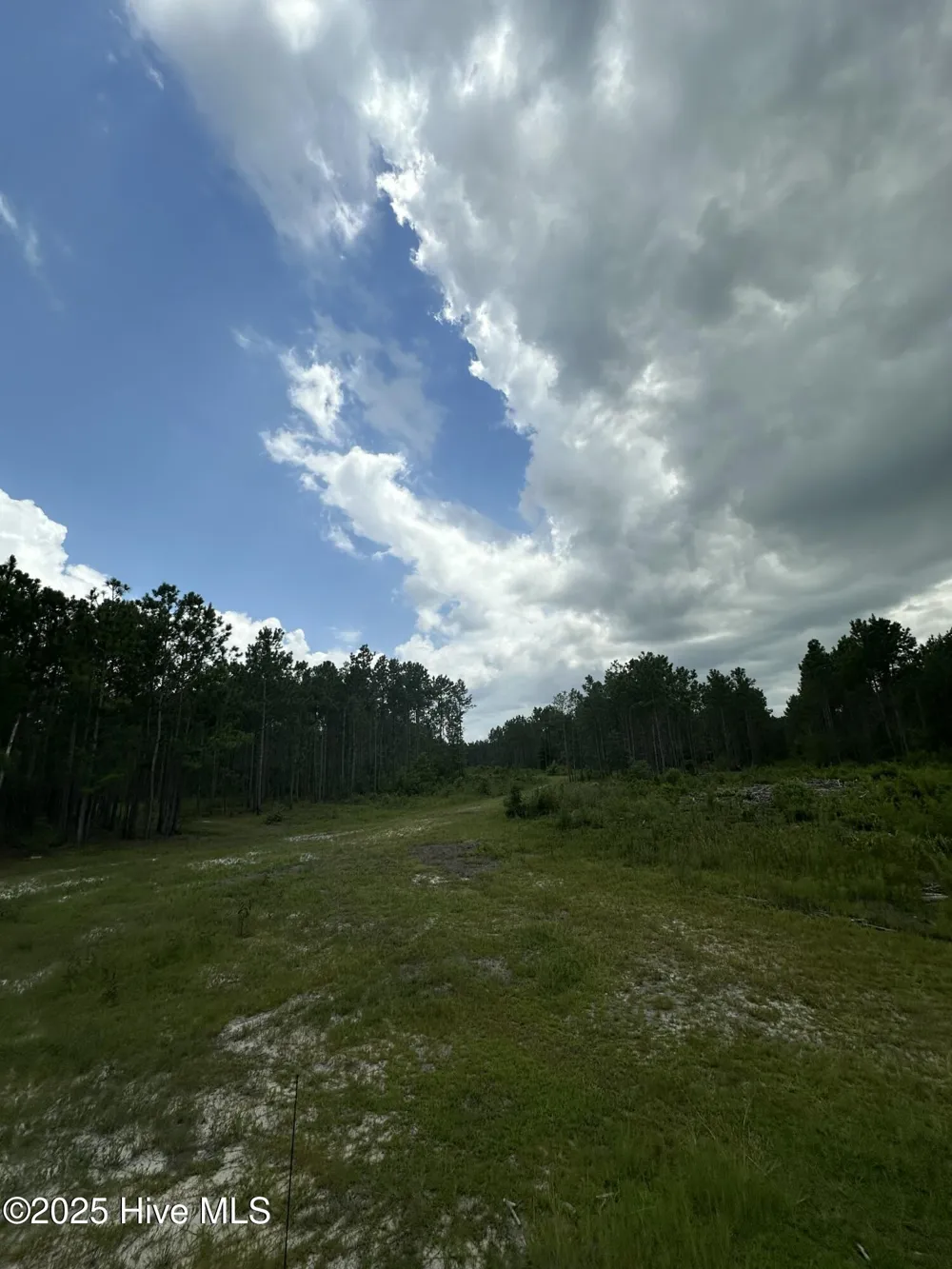 250 Long Bluff Road Currie, NC 28435