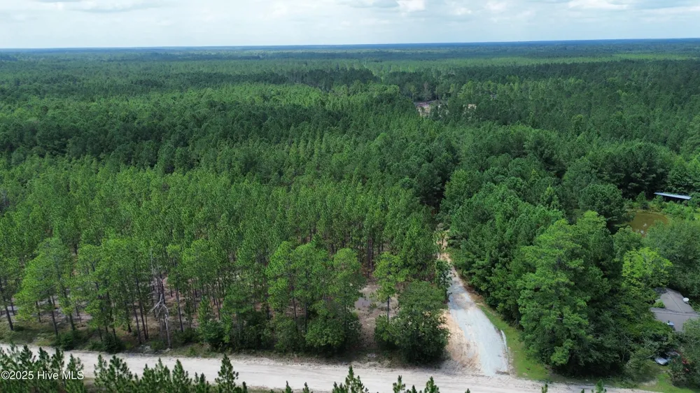 250 Long Bluff Road Currie, NC 28435