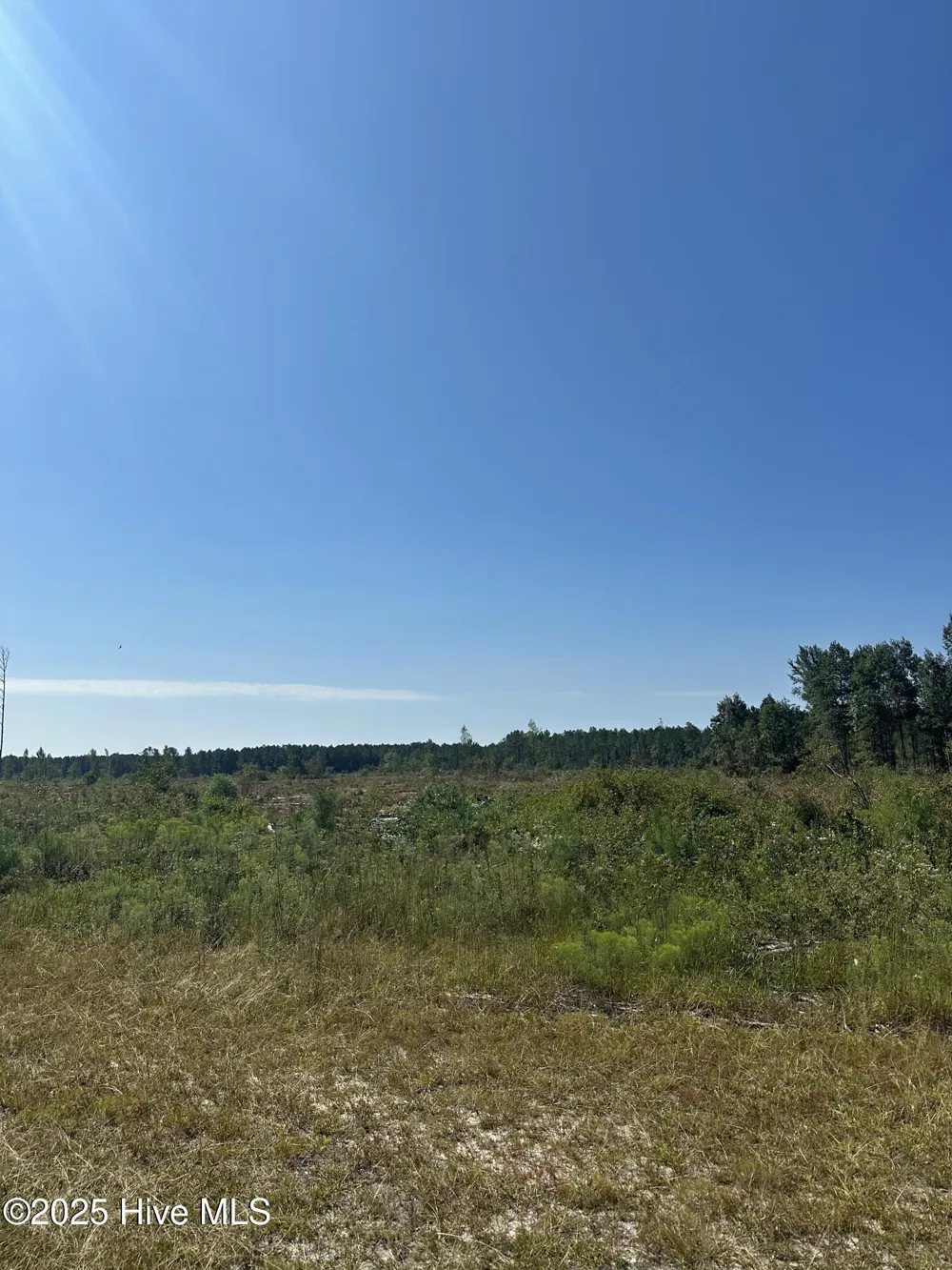 250 Long Bluff Road Currie, NC 28435