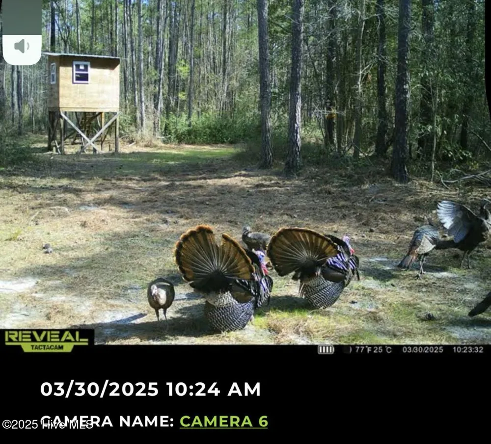 250 Long Bluff Road Currie, NC 28435