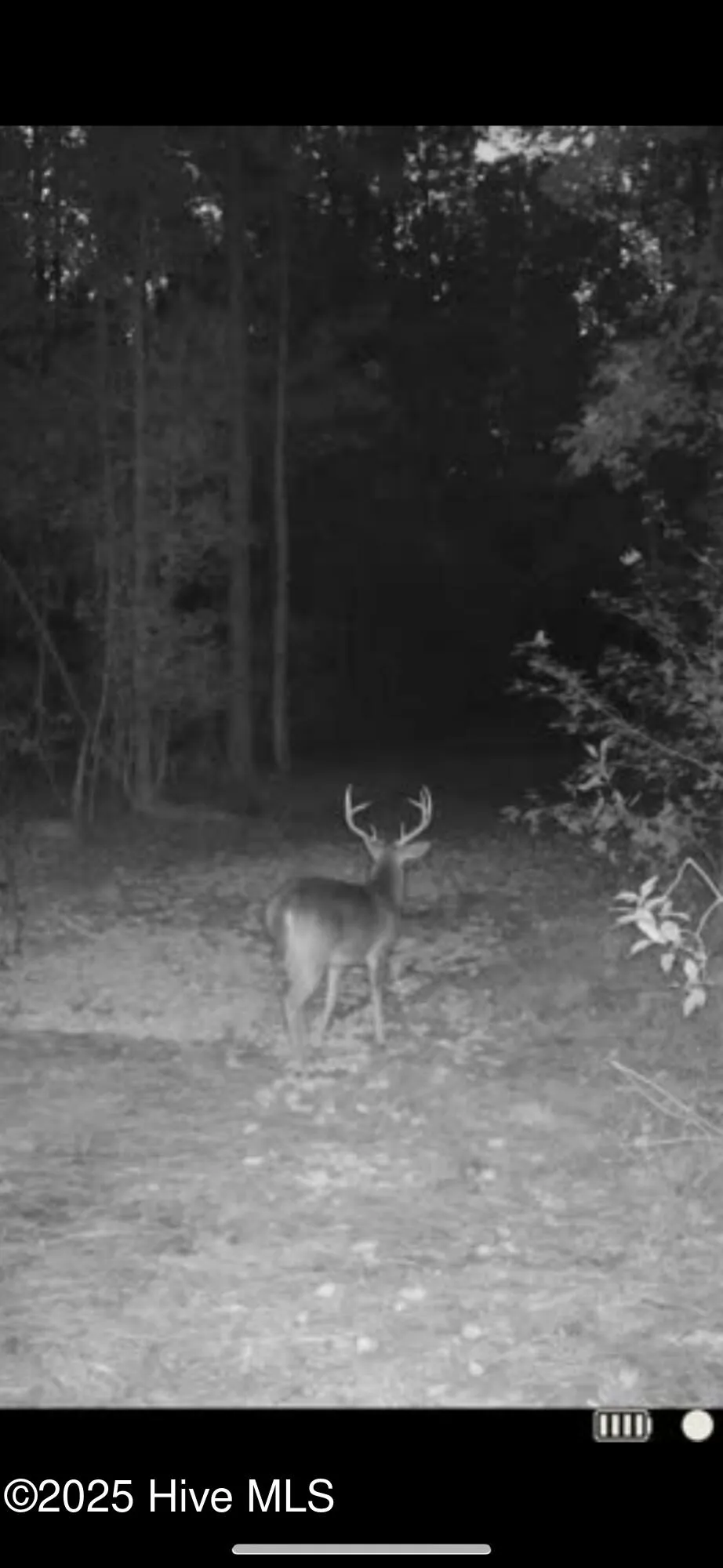 250 Long Bluff Road Currie, NC 28435