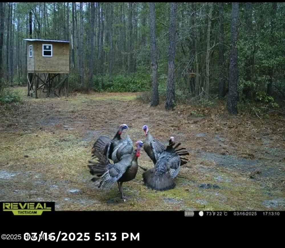 250 Long Bluff Road Currie, NC 28435