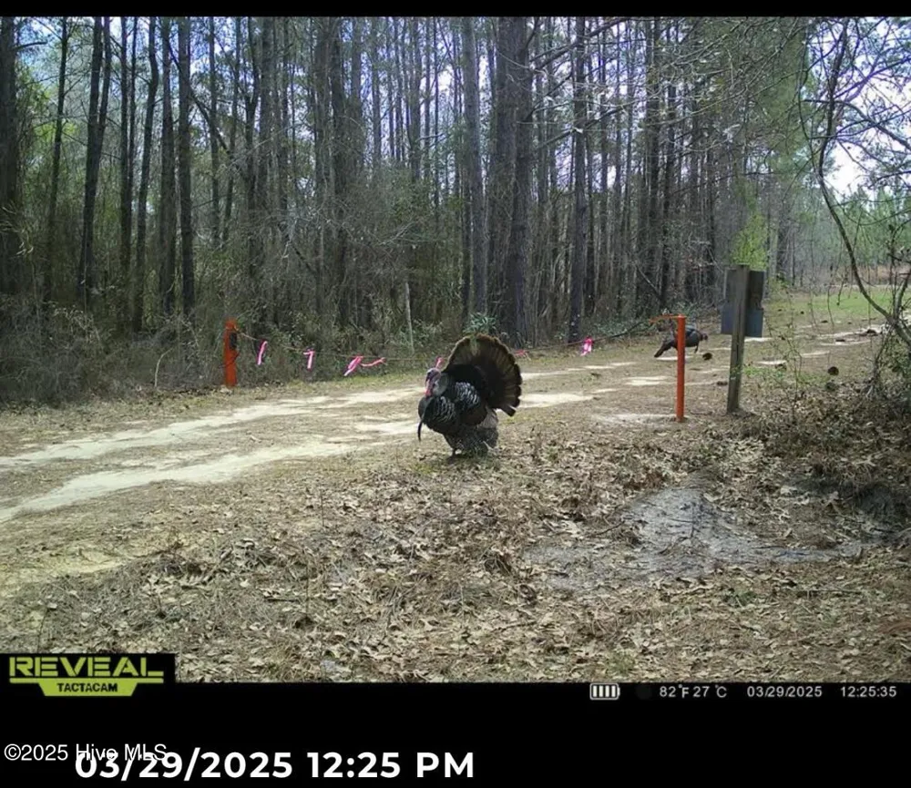 250 Long Bluff Road Currie, NC 28435