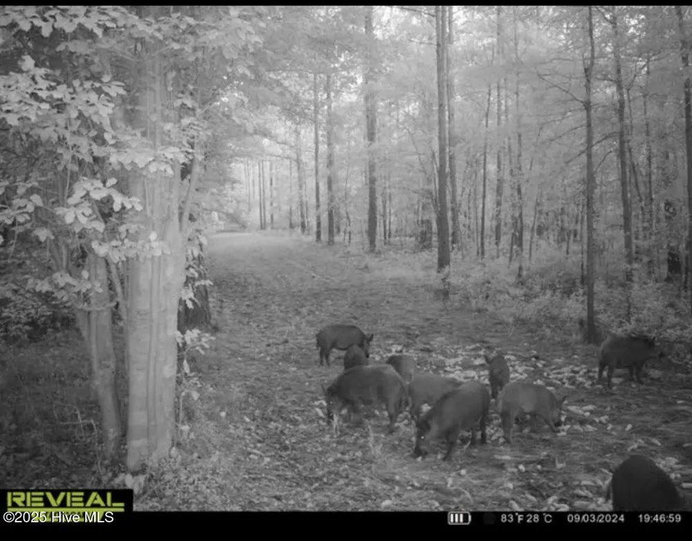 250 Long Bluff Road Currie, NC 28435