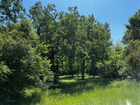 Meyer Rd