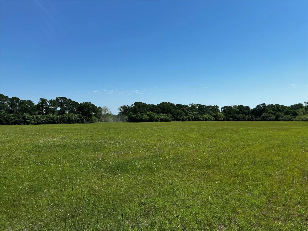 Meyer Rd San Felipe, TX 77474
