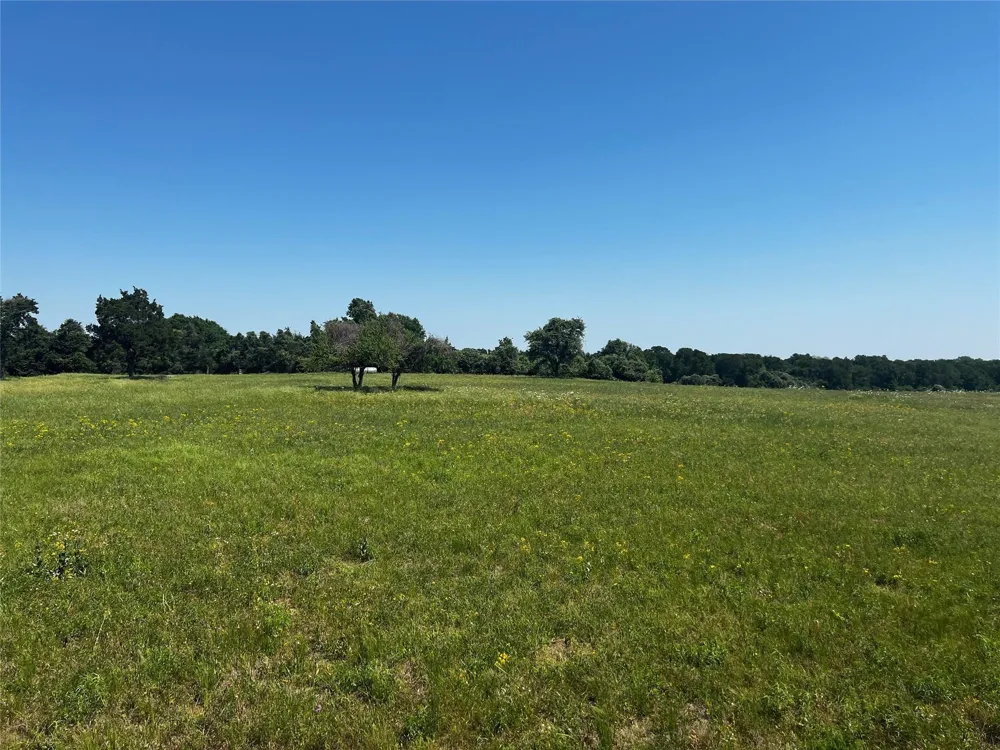 Meyer Rd San Felipe, TX 77474