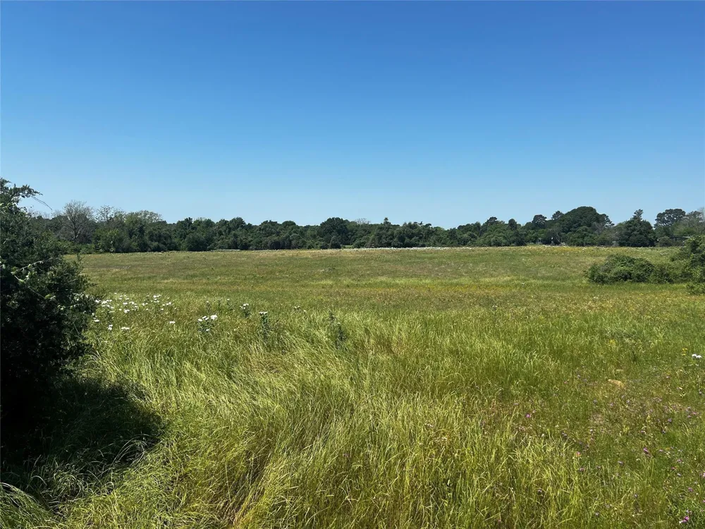 Meyer Rd San Felipe, TX 77474