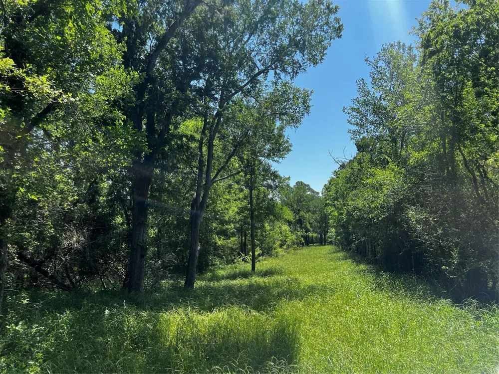 Meyer Rd San Felipe, TX 77474