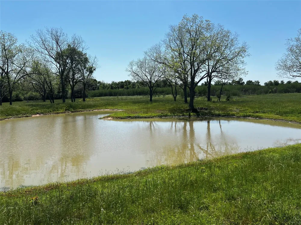 Meyer Rd San Felipe, TX 77474