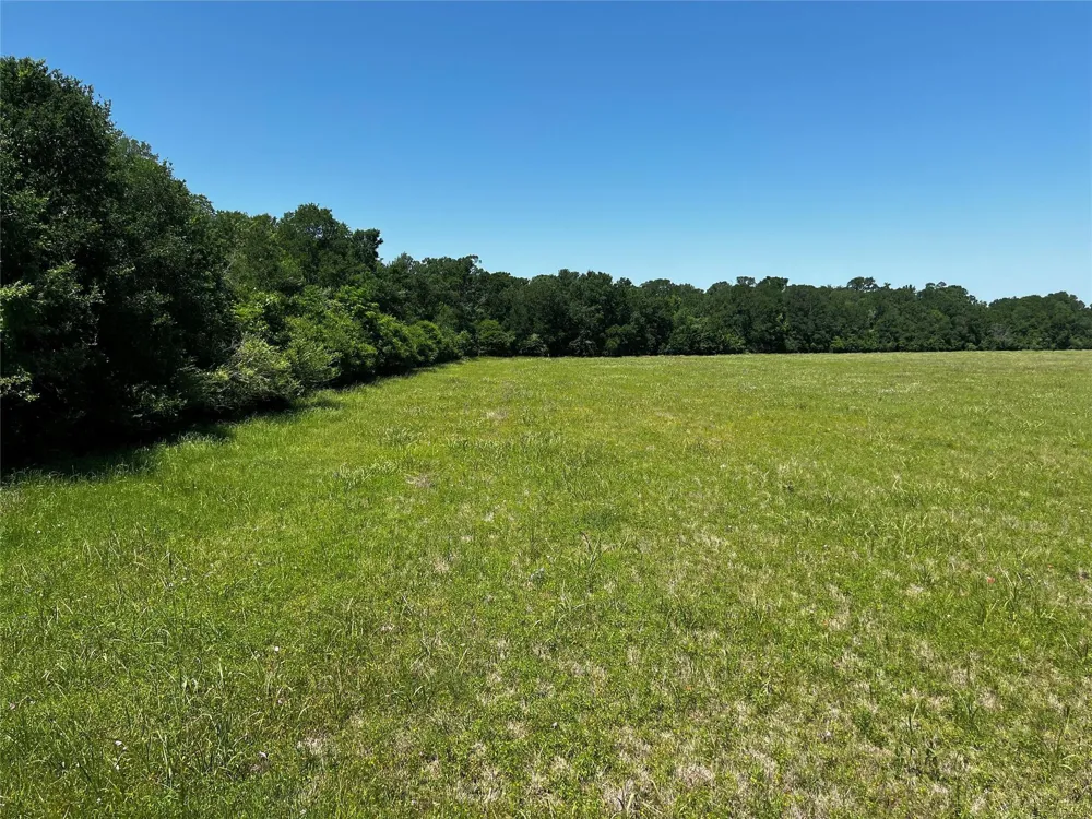 Meyer Rd San Felipe, TX 77474