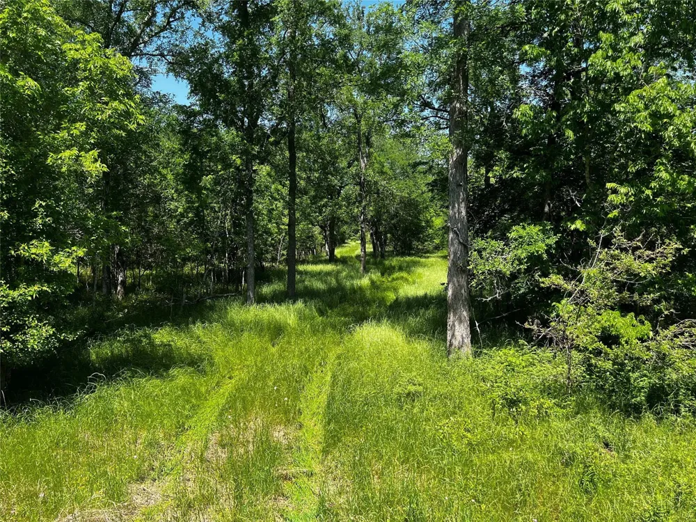 Meyer Rd San Felipe, TX 77474