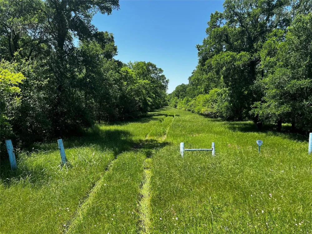 Meyer Rd San Felipe, TX 77474