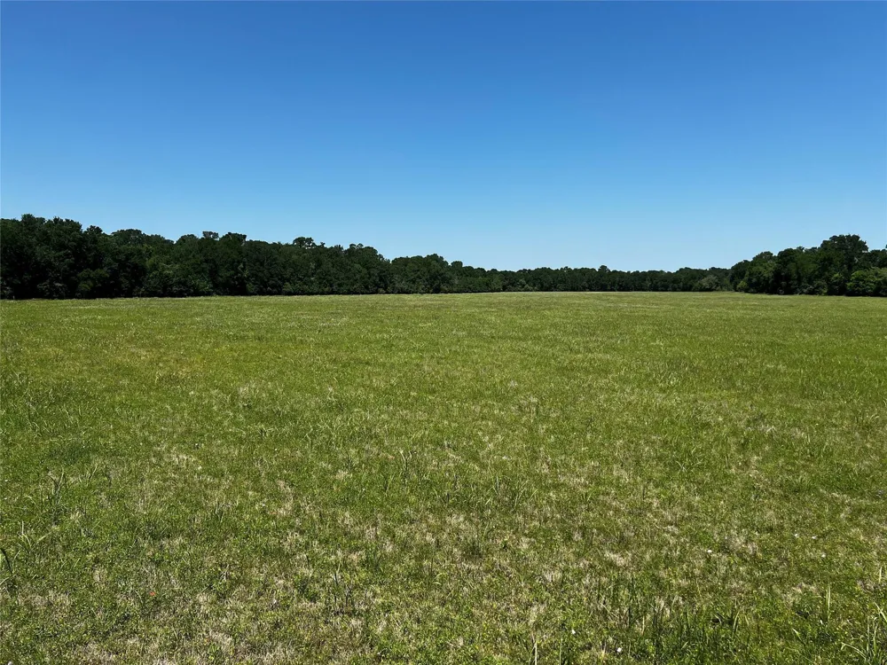 Meyer Rd San Felipe, TX 77474