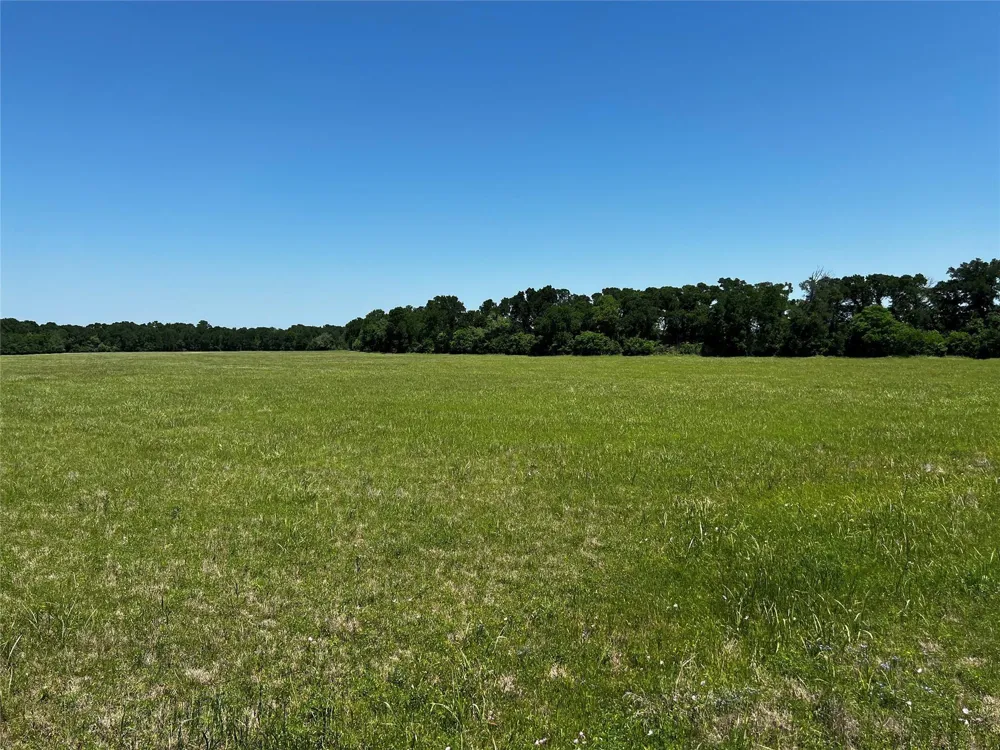 Meyer Rd San Felipe, TX 77474
