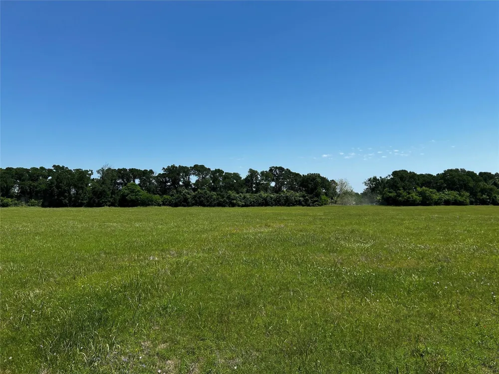 Meyer Rd San Felipe, TX 77474