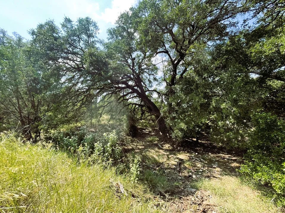 153 Live Oak Mott Drive Goldthwaite, TX 76844
