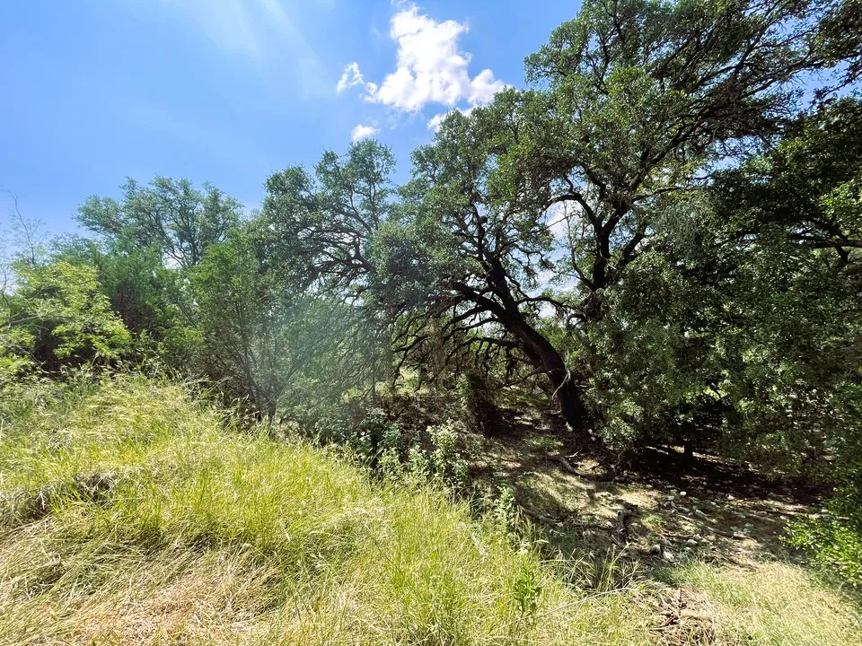 153 Live Oak Mott Drive Goldthwaite, TX 76844