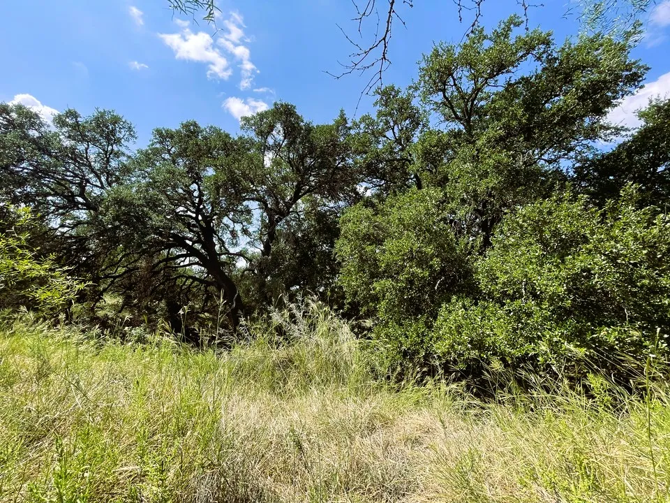 153 Live Oak Mott Drive Goldthwaite, TX 76844
