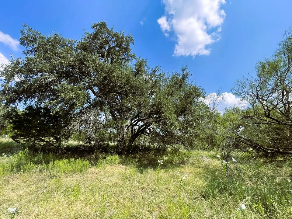 153 Live Oak Mott Drive Goldthwaite, TX 76844