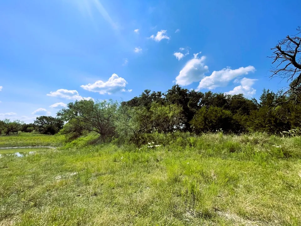153 Live Oak Mott Drive Goldthwaite, TX 76844